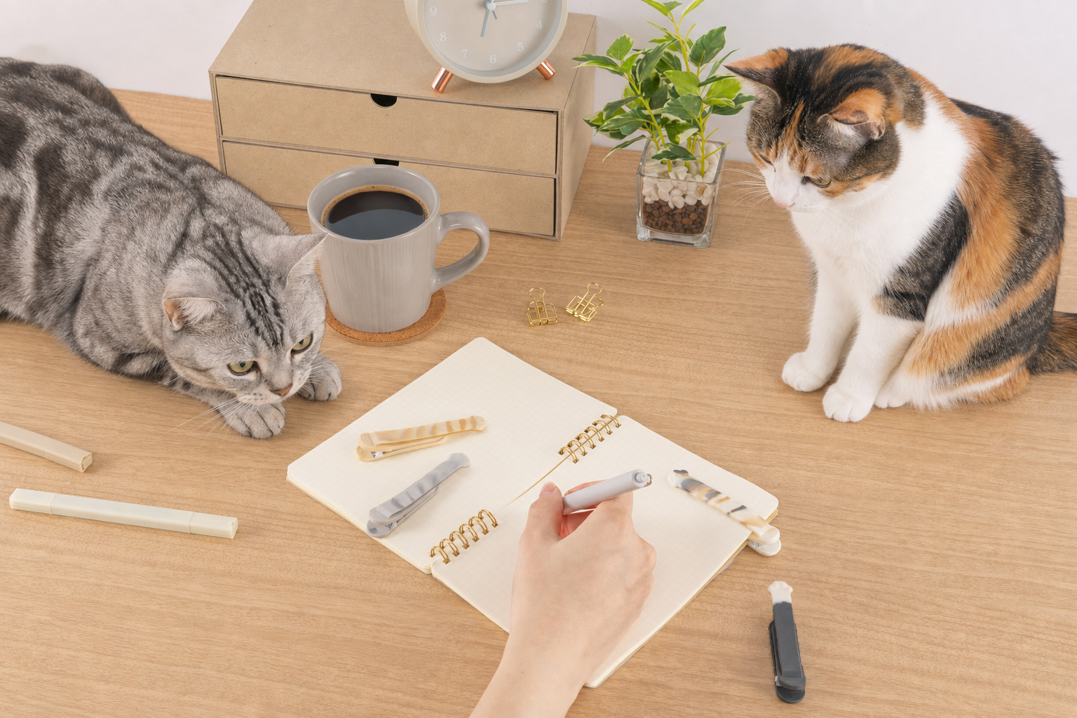 パタパタめくれるクリップ型しおり「パタップ」から猫デザインの第2弾