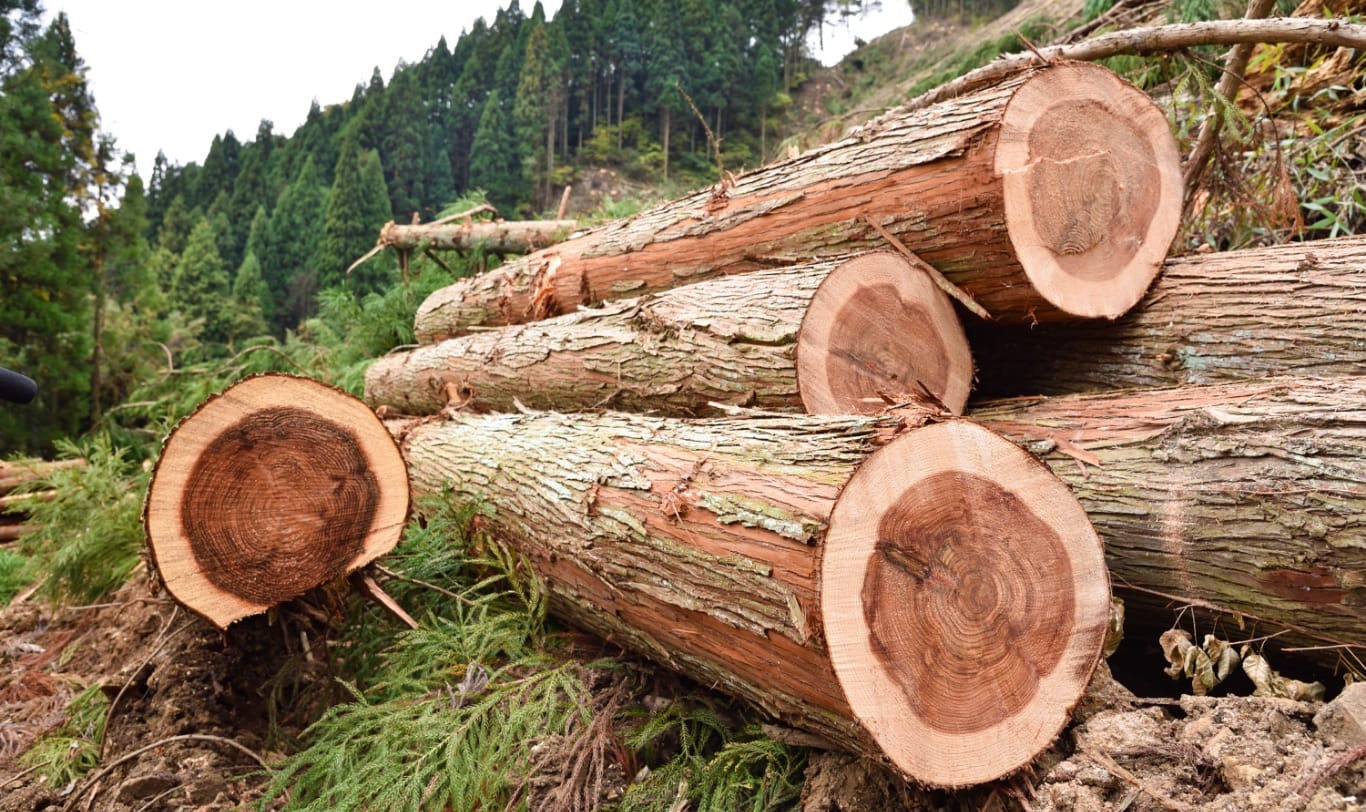 松江バイオマス発電株式会社