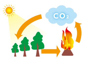 CO2の排出抑制（カーボンニュートラル）