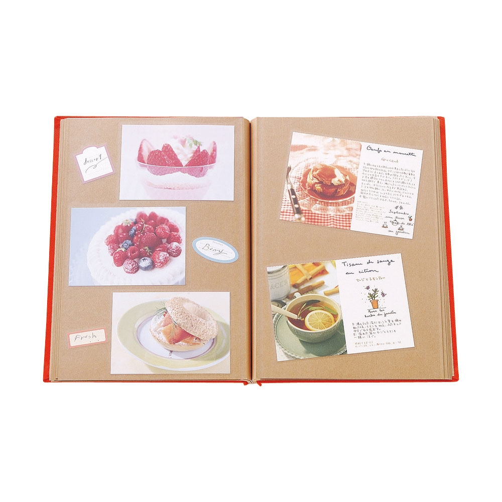 テラコッタ 外ビス式アルバム A4 プラコート台紙（クラフト