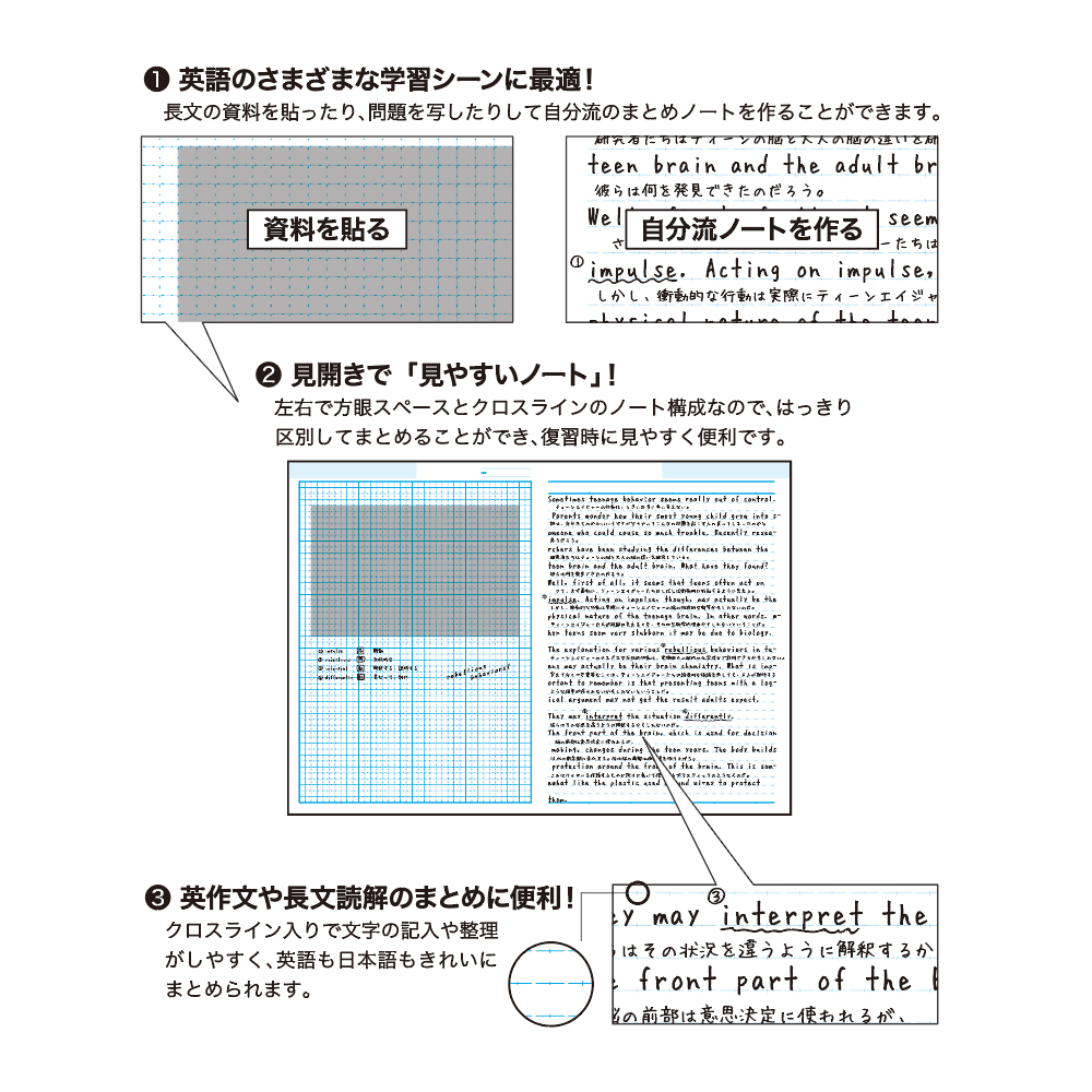 ロジカル 科目別ノート A4 英語 ロジカル 科目別ノート スイング