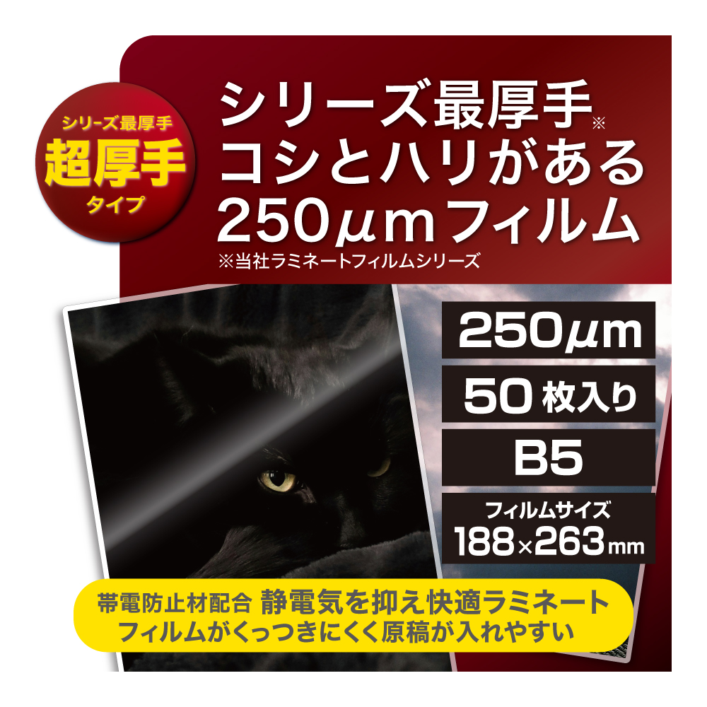 ラミネートフィルムE2 250μm 50枚入 B5 | ラミネータフイルム