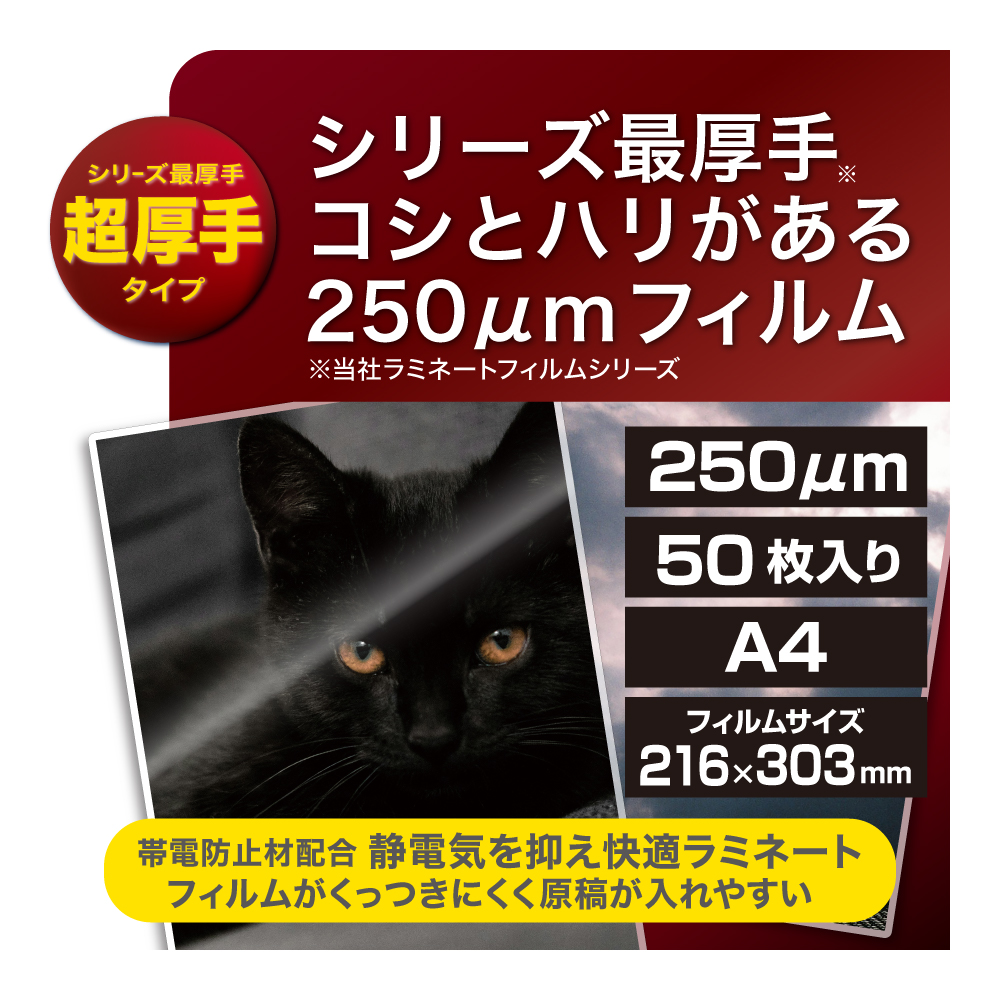 ラミネートフィルムE2 250μm 50枚入 A4 | ラミネータフイルム